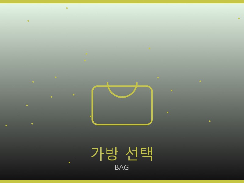 알렉산더 왕 레플리카 사이트 가방 선택 가이드