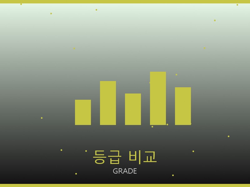 알렉산더 왕 레플리카 사이트 등급 기준 비교