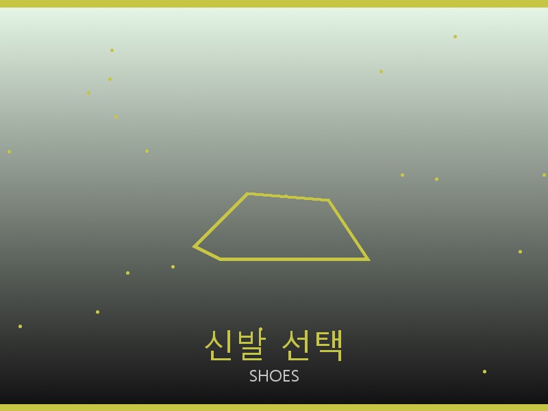 알렉산더 왕 레플리카 사이트 신발 선택 가이드